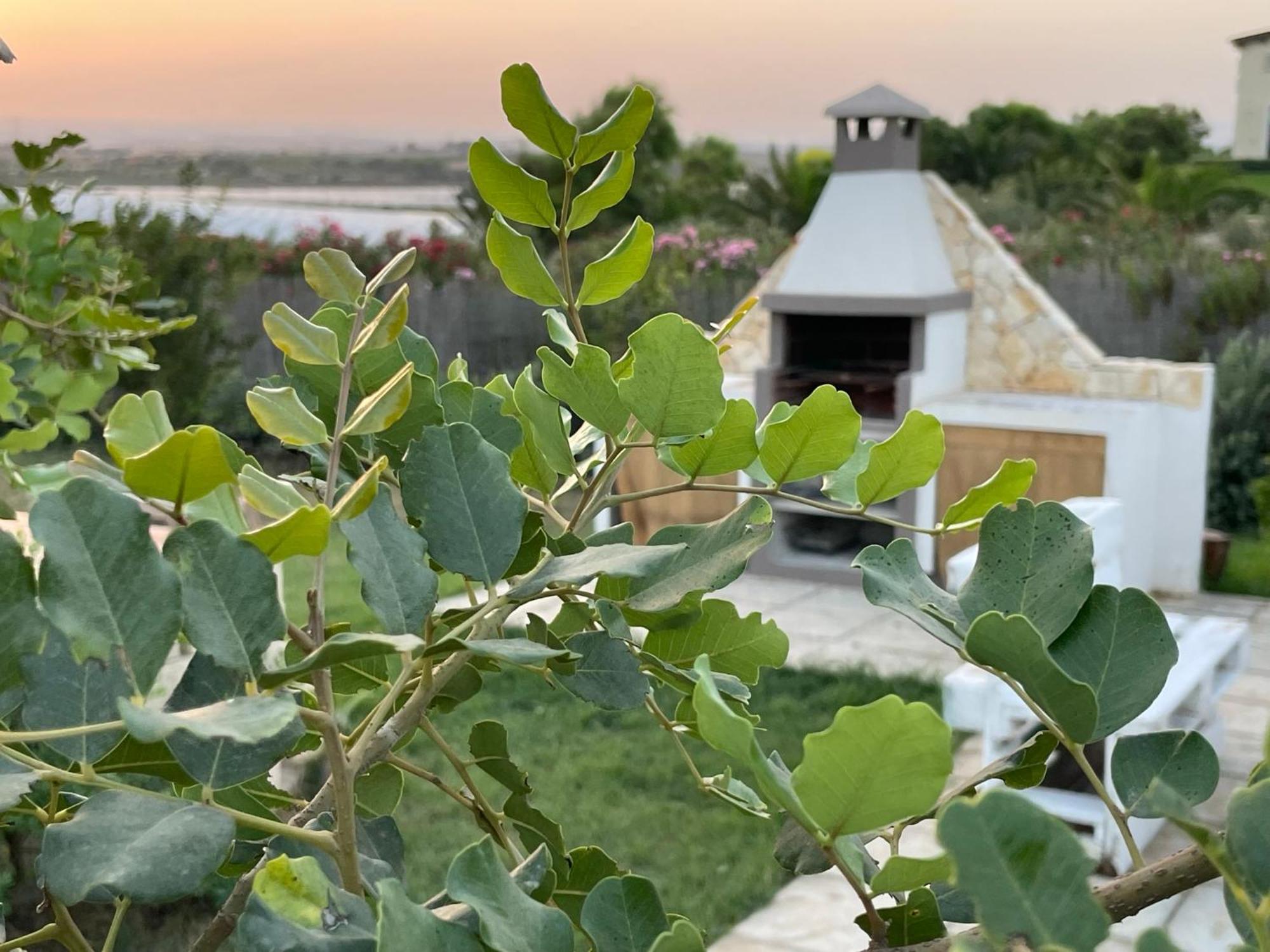 Villa Triona Marzamemi Con Piscina Экстерьер фото